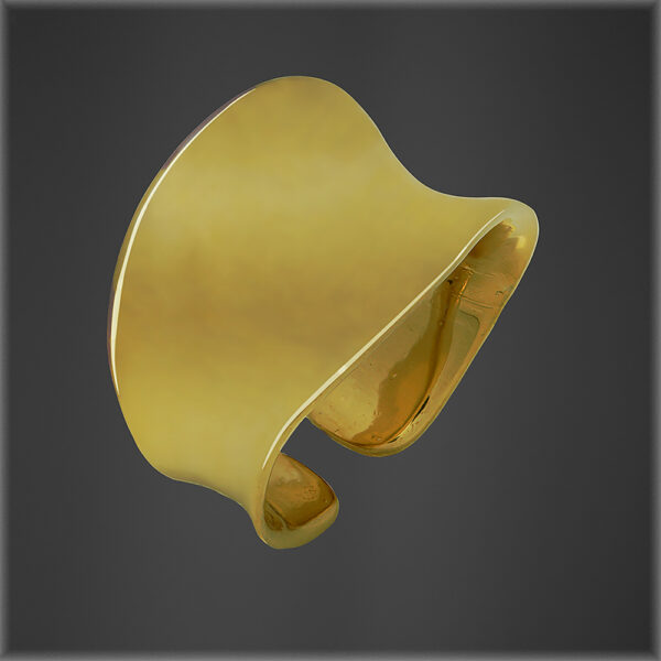 Retro Gold Adjustable 925 Ring