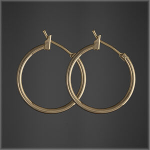 Small Hoop Earrings