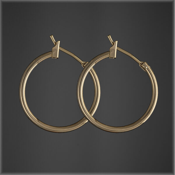 Small Hoop Earrings